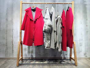 三生物原創(chuàng)設(shè)計師品牌富兒雅 女裝尾貨折扣與走份批發(fā)新機遇